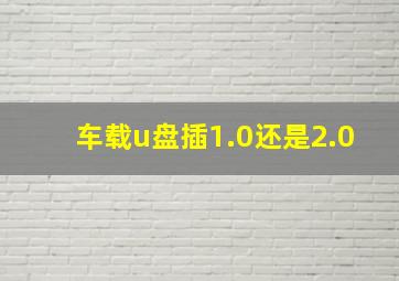 车载u盘插1.0还是2.0