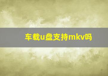 车载u盘支持mkv吗