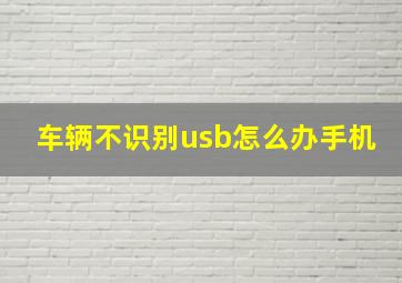 车辆不识别usb怎么办手机