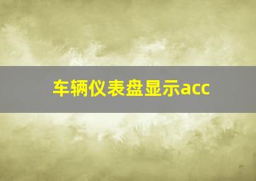 车辆仪表盘显示acc