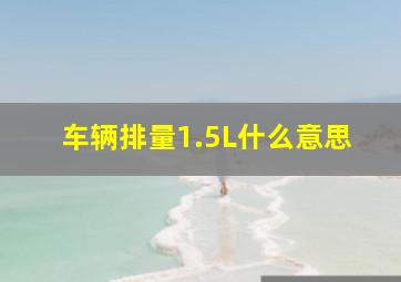 车辆排量1.5L什么意思