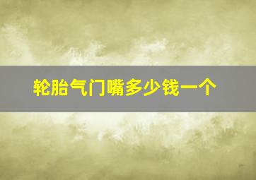 轮胎气门嘴多少钱一个