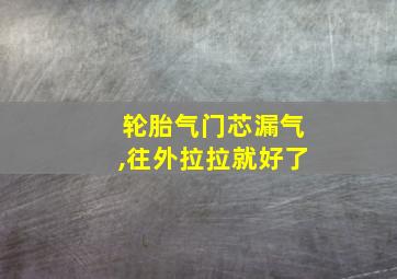 轮胎气门芯漏气,往外拉拉就好了