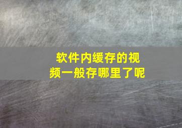 软件内缓存的视频一般存哪里了呢