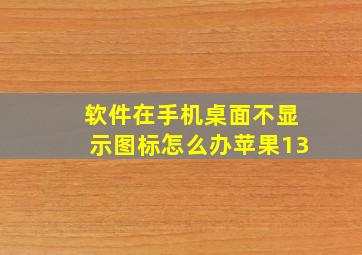 软件在手机桌面不显示图标怎么办苹果13