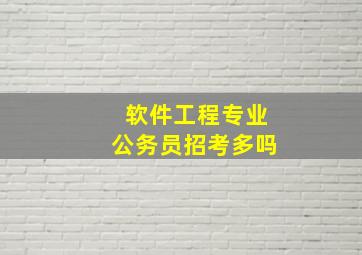 软件工程专业公务员招考多吗