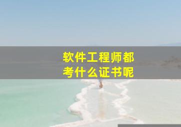 软件工程师都考什么证书呢