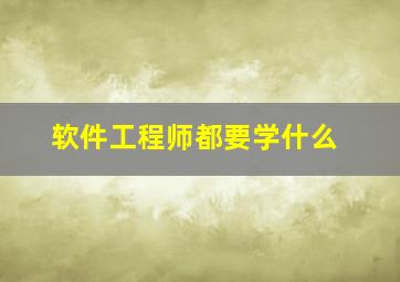 软件工程师都要学什么