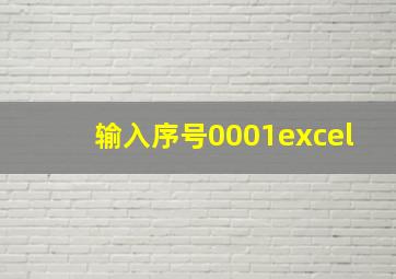 输入序号0001excel