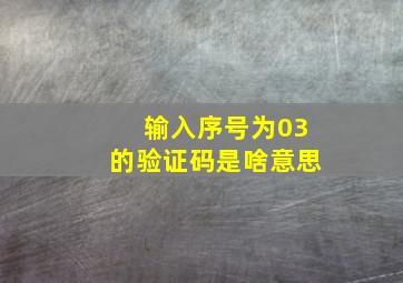 输入序号为03的验证码是啥意思