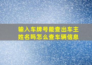 输入车牌号能查出车主姓名吗怎么查车辆信息