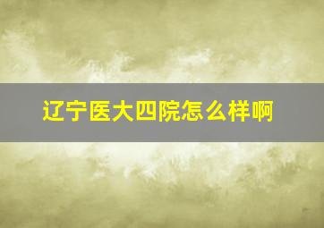 辽宁医大四院怎么样啊