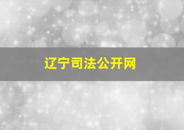 辽宁司法公开网