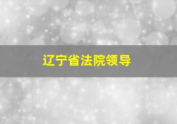 辽宁省法院领导