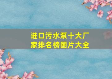 进口污水泵十大厂家排名榜图片大全