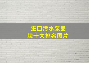 进口污水泵品牌十大排名图片