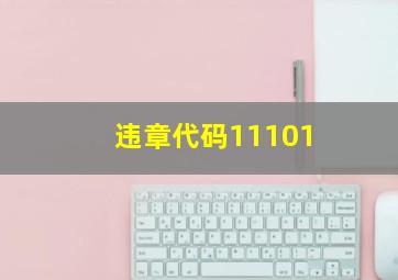 违章代码11101