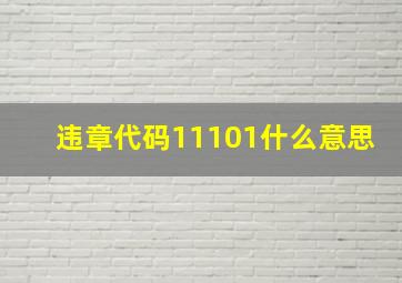 违章代码11101什么意思