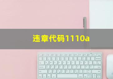 违章代码1110a