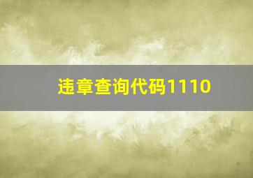 违章查询代码1110