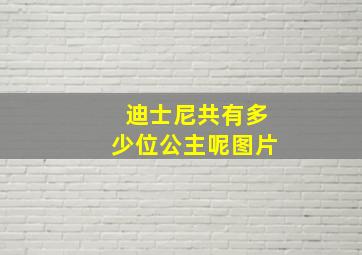 迪士尼共有多少位公主呢图片