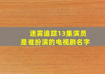 迷雾追踪13集演员是谁扮演的电视剧名字