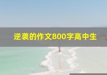 逆袭的作文800字高中生