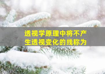 透视学原理中将不产生透视变化的线称为