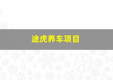 途虎养车项目