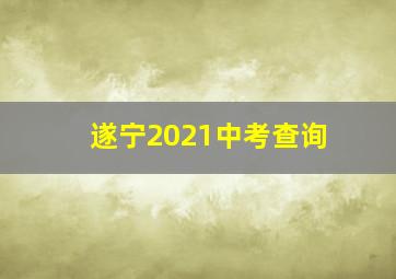 遂宁2021中考查询