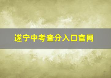 遂宁中考查分入口官网