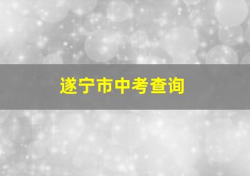 遂宁市中考查询