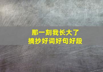 那一刻我长大了摘抄好词好句好段