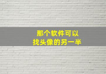 那个软件可以找头像的另一半