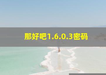 那好吧1.6.0.3密码