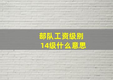 部队工资级别14级什么意思