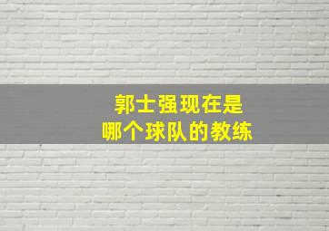 郭士强现在是哪个球队的教练