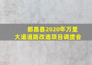 都昌县2020年万里大道道路改造项目调度会