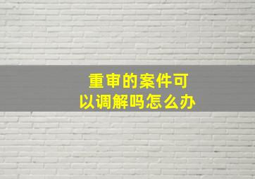 重审的案件可以调解吗怎么办