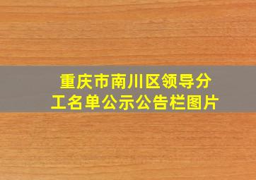 重庆市南川区领导分工名单公示公告栏图片