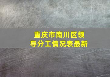 重庆市南川区领导分工情况表最新