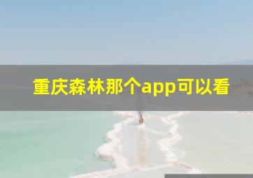 重庆森林那个app可以看