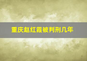 重庆赵红霞被判刑几年