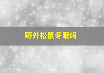 野外松鼠冬眠吗