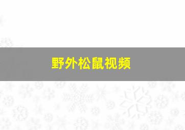 野外松鼠视频