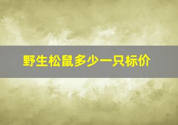 野生松鼠多少一只标价