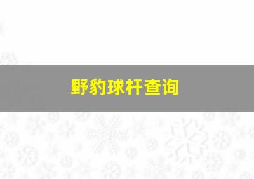 野豹球杆查询