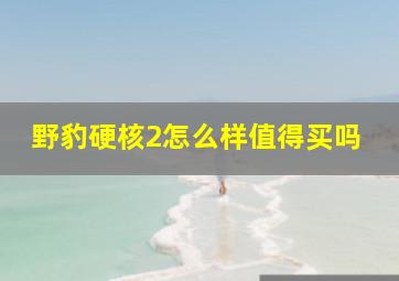 野豹硬核2怎么样值得买吗