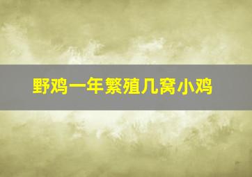 野鸡一年繁殖几窝小鸡