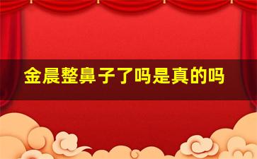 金晨整鼻子了吗是真的吗